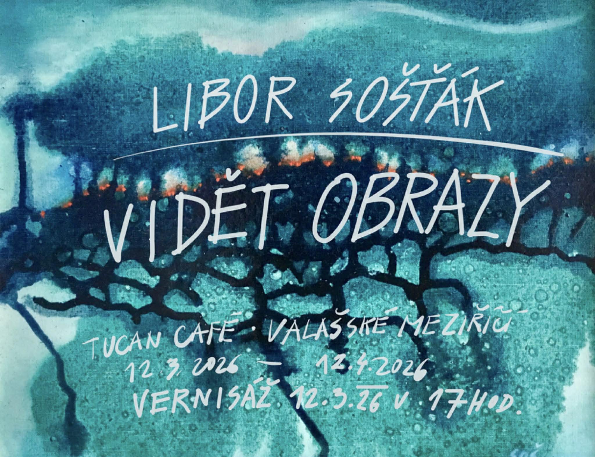 Vidět obrazy